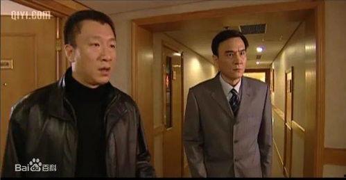 电视剧孙红雷主演,激情燃烧的岁月，演绎传奇人生